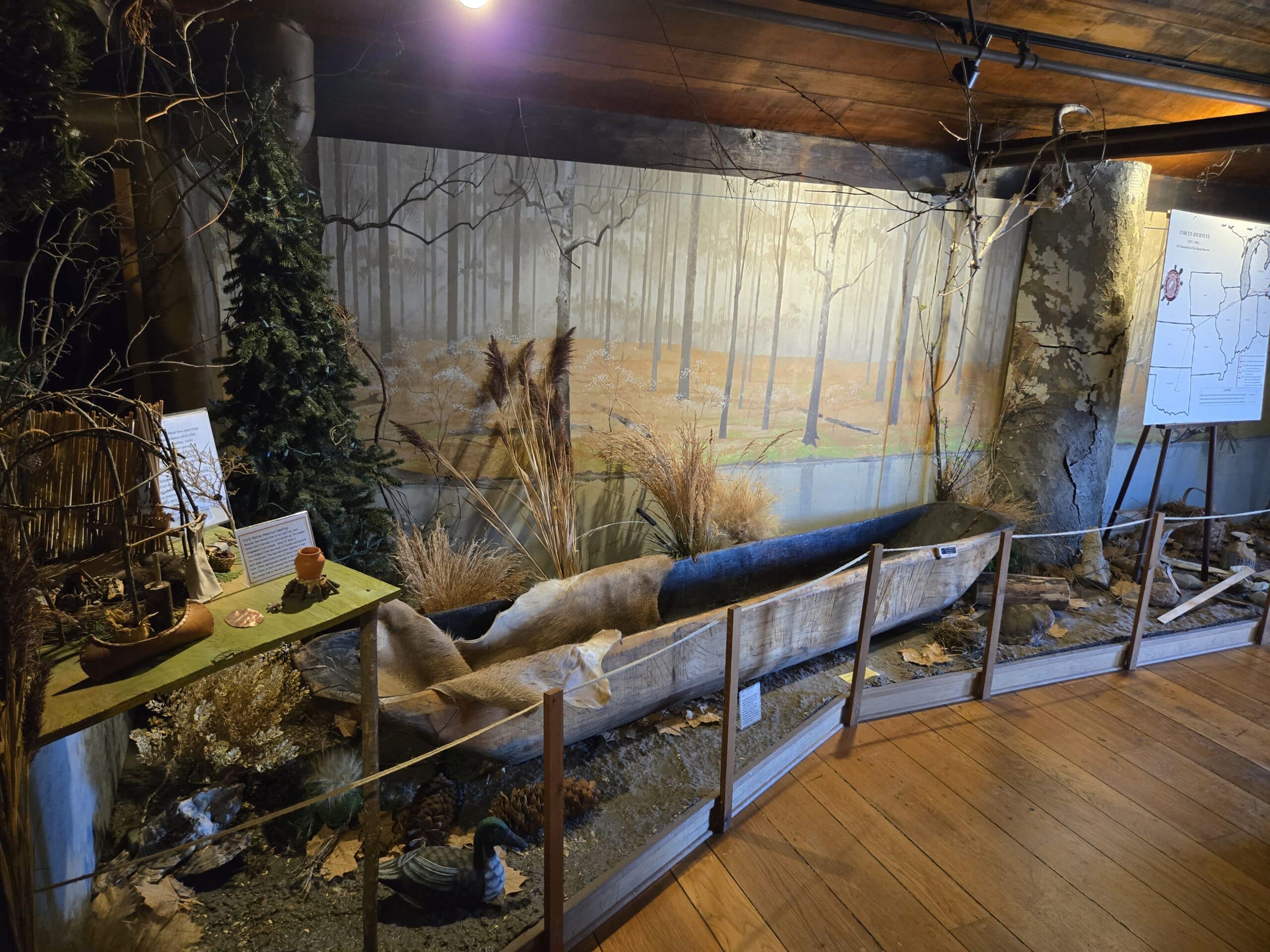 3rd Floor Indian Artifacts
